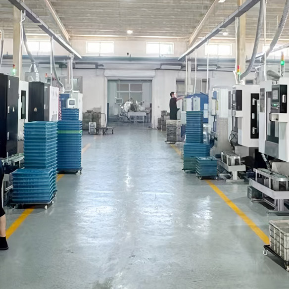 Time of establishment