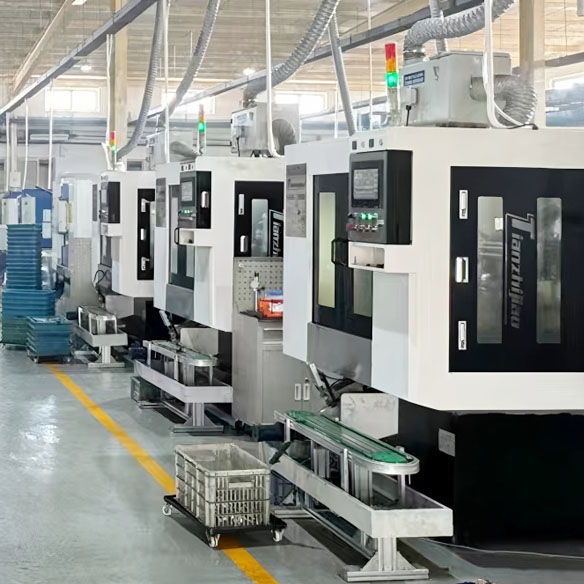 Time of establishment